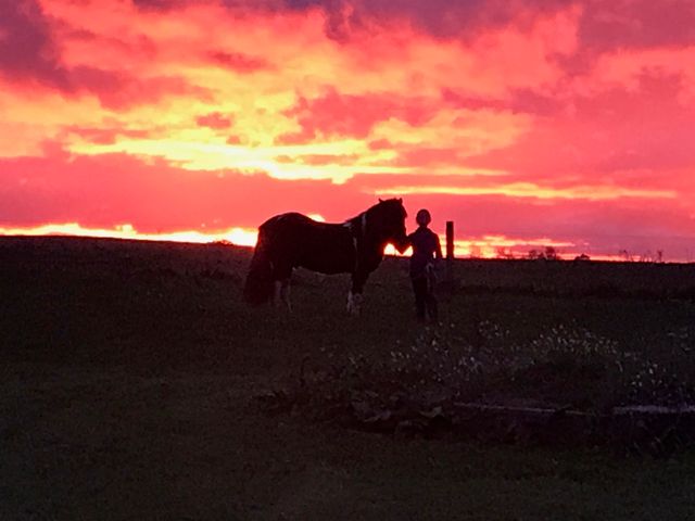 7550 Townline Road, Kingsley, MI 49649