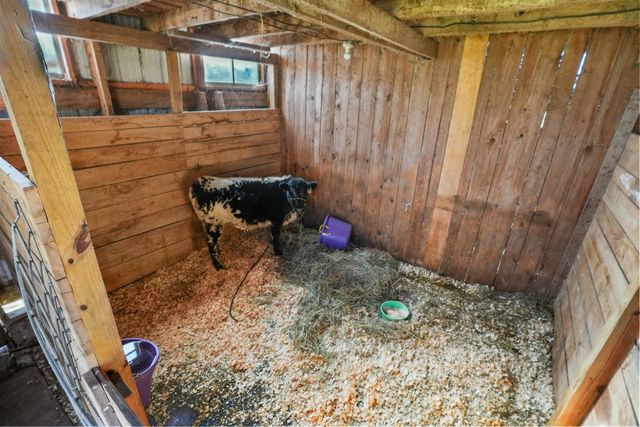 7550 Townline Road, Kingsley, MI 49649