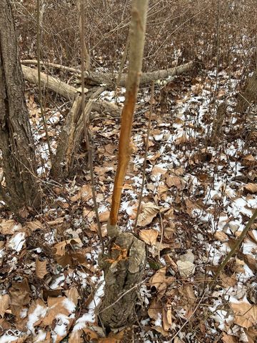 0 N Gray Road, Mooresville, IN 46158