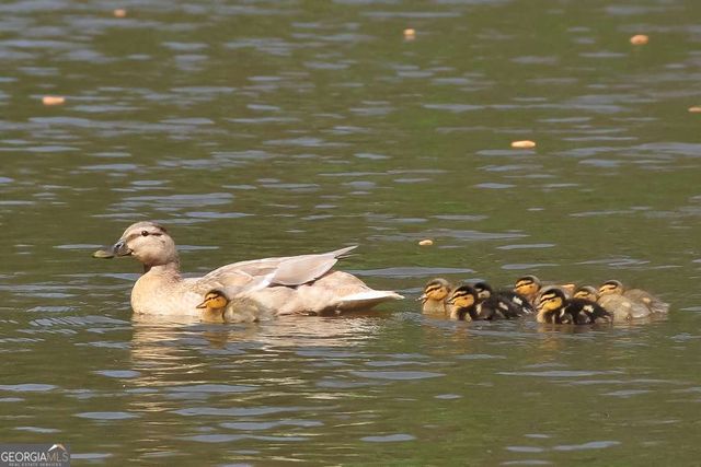 28206 Plantation Drive NE 206, Atlanta, GA 30324