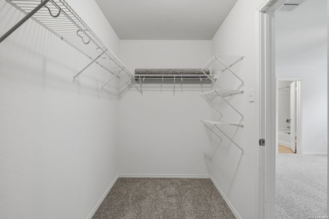 3613 Lazy Diamond, Selma, TX 78154