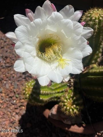 797 N Soliz Street, Dewey, AZ 86327