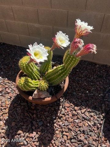 797 N Soliz Street, Dewey, AZ 86327