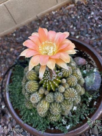 797 N Soliz Street, Dewey, AZ 86327