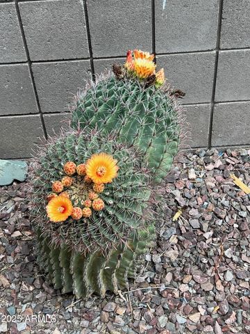 797 N Soliz Street, Dewey, AZ 86327