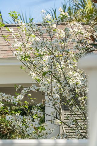 164 River Green Place, Charleston, SC 29492