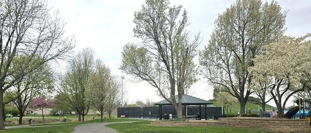 305 Lexington Lane, Rolling Meadows, IL 60008