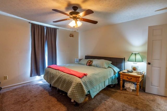 501 Pin Hook Road, Spring City, TN 37381