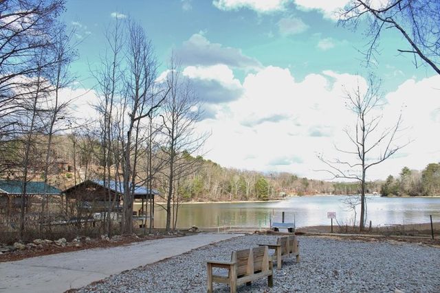 501 Pin Hook Road, Spring City, TN 37381