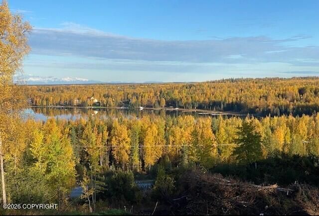 38522 Birch Hill Drive, Soldotna, AK 99669