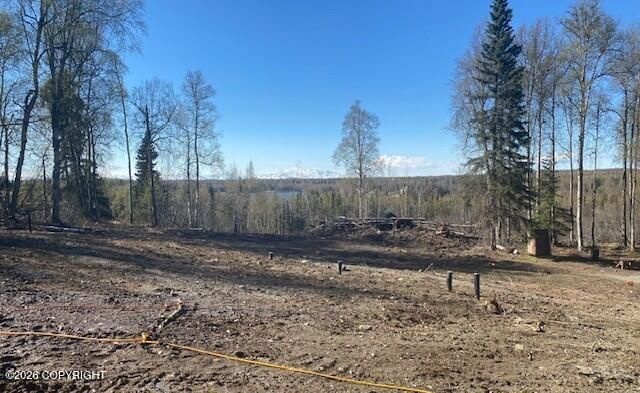 38522 Birch Hill Drive, Soldotna, AK 99669