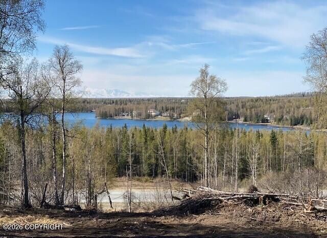 38522 Birch Hill Drive, Soldotna, AK 99669