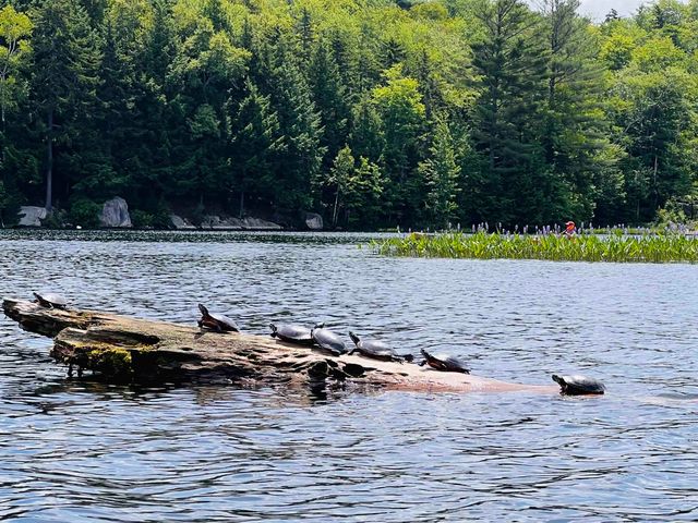 608 Otter Road, Grantham, NH 03753