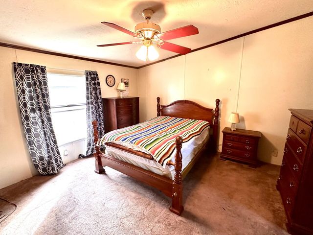 768 Neave Milford Road, Falmouth, KY 41040