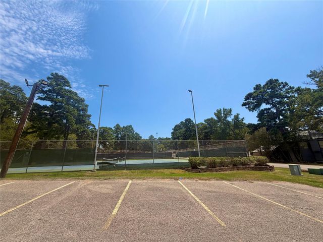 13934 Dolphin Drive, Willis, TX 77318