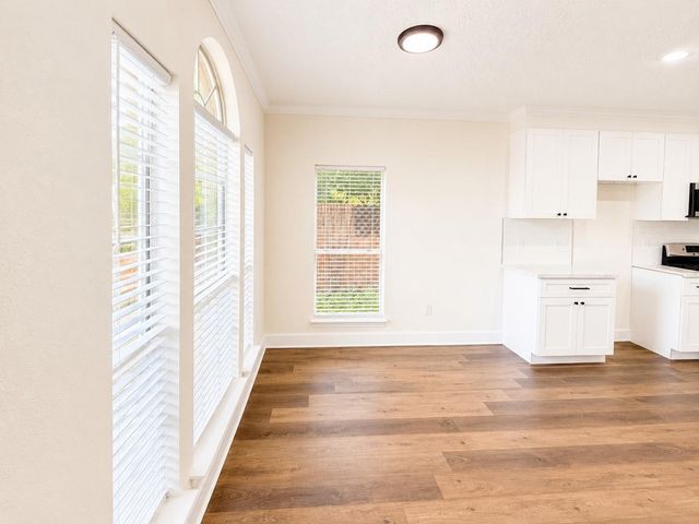 13538 Shadow Falls Court, Houston, TX 77059