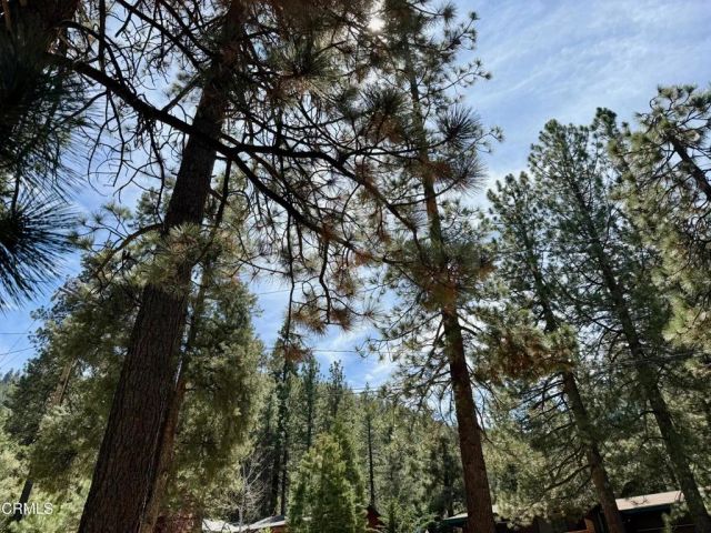 1716 Lassen Way, Pine Mountain Club, CA 93222