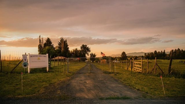 11726 E Day- Mt Spokane Rd, Mead, WA 99201