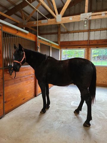 N700 S P-3 LANE, Menominee, MI 49858