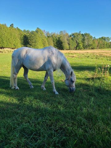 N700 S P-3 LANE, Menominee, MI 49858