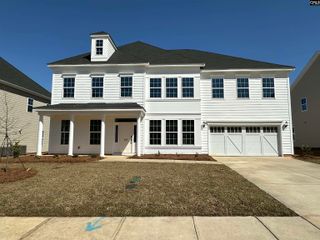 1639 Brewster Court, Chapin, SC 29036