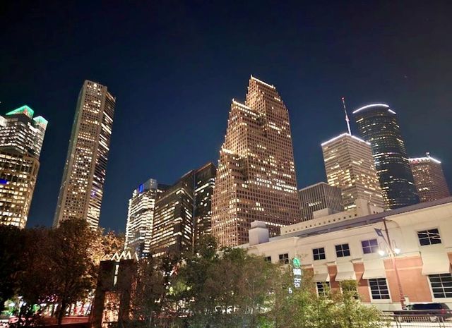 2010 Saint Charles Street, Houston, TX 77003