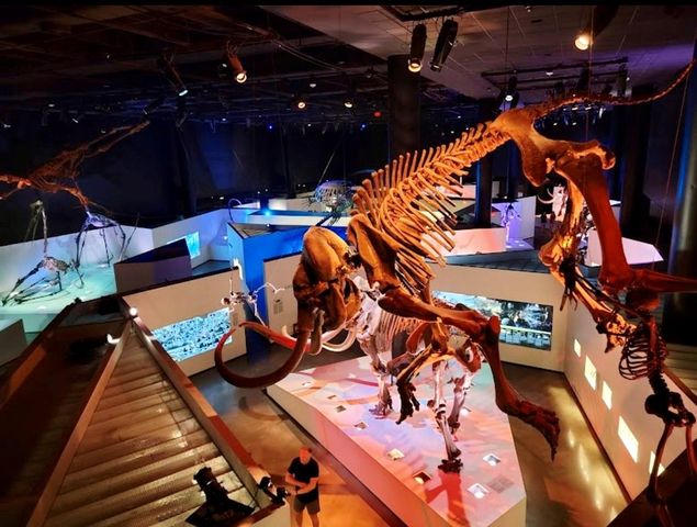 2010 Saint Charles Street, Houston, TX 77003