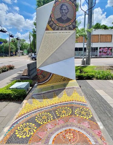 2010 Saint Charles Street, Houston, TX 77003