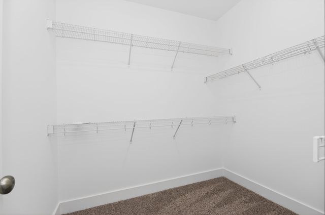 104 Wilcox Drive, Grovetown, GA 30813