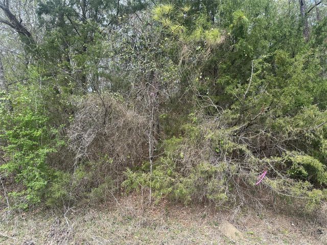 00 Cedar Valley Drive, Coldspring, TX 77331