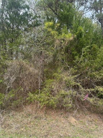 00 Cedar Valley Drive, Coldspring, TX 77331