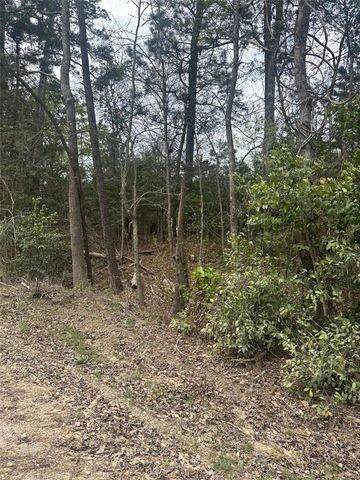 00 Cedar Valley Drive, Coldspring, TX 77331