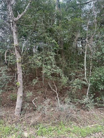 00 Cedar Valley Drive, Coldspring, TX 77331