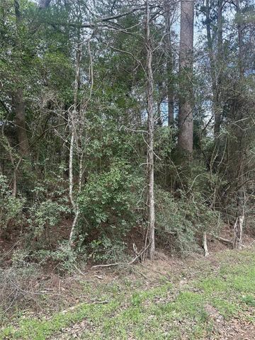 00 Cedar Valley Drive, Coldspring, TX 77331