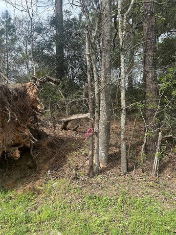 00 Cedar Valley Drive, Coldspring, TX 77331