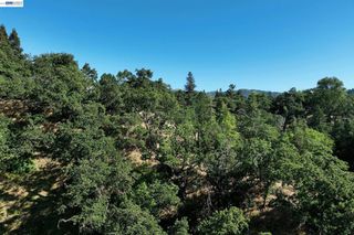 247 Sequoia Ave, Walnut Creek, CA 94595