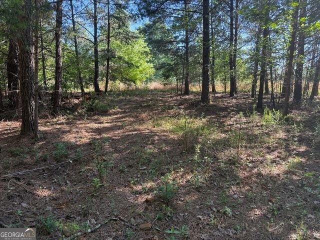 0 Pinetree Way, Dahlonega, GA 30533