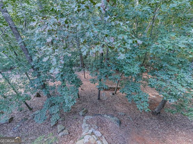 137 Blue Fox Loop, Waleska, GA 30183