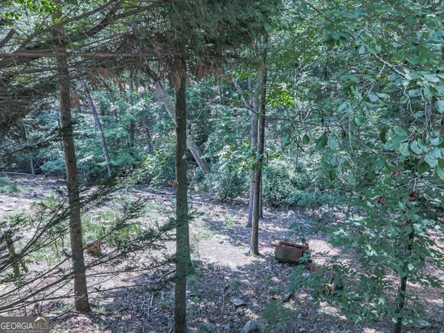 137 Blue Fox Loop, Waleska, GA 30183