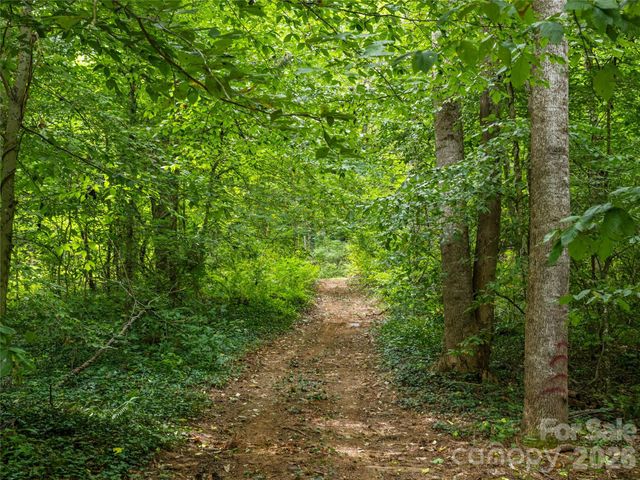 91 Rice Branch Road, Asheville, NC 28804