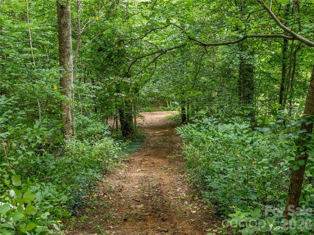 91 Rice Branch Road, Asheville, NC 28804