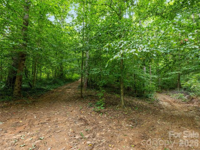 91 Rice Branch Road, Asheville, NC 28804