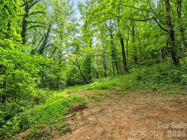 91 Rice Branch Road, Asheville, NC 28804