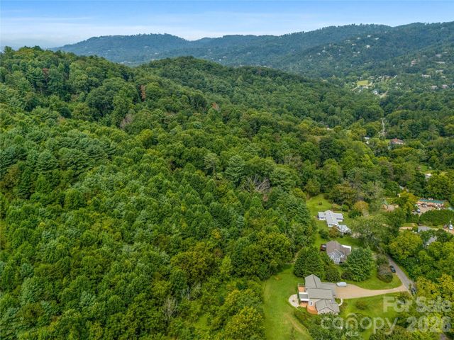 91 Rice Branch Road, Asheville, NC 28804