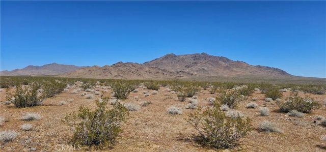 0 Pole Line Rd, Lucerne Valley, CA 92356