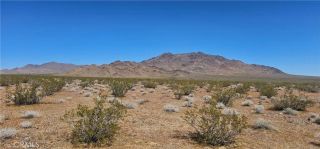 0 Pole Line Rd, Lucerne Valley, CA 92356