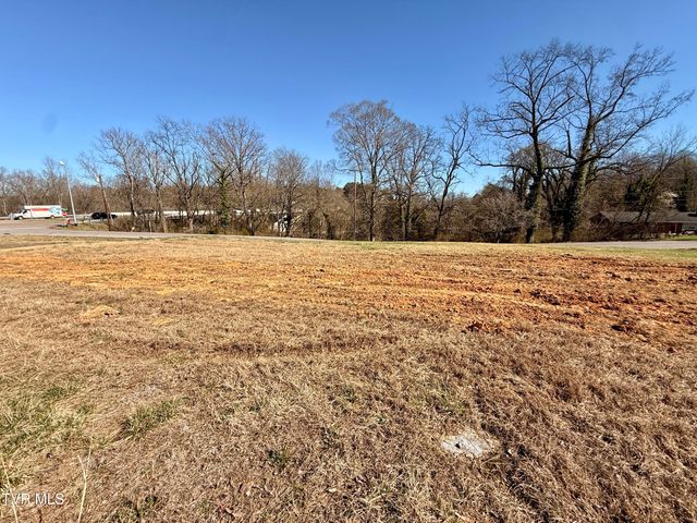 101 Tall Oaks Court, Kingsport, TN 37663