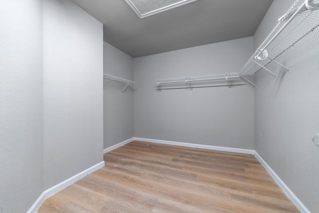 4109 Macarthur Palm Trail, Lake Worth, FL 33463