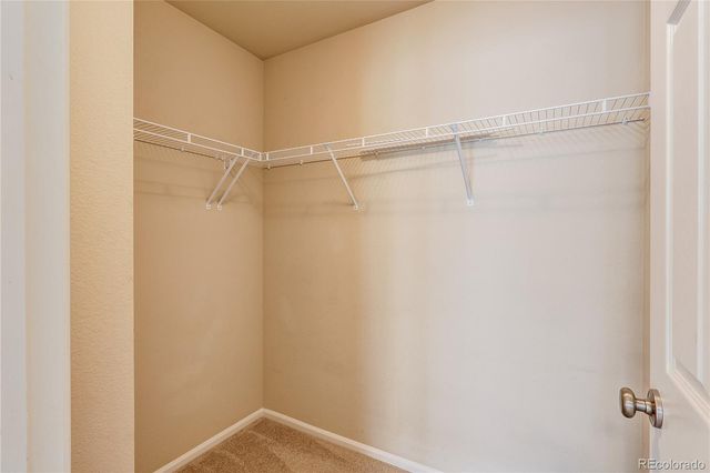 9063 Apache Plume Drive B, Parker, CO 80134