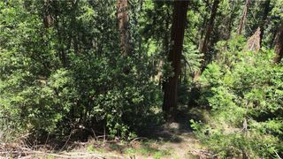 0 Deer Run Road, Cedarpines Park, CA 92322